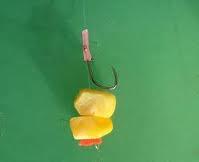 pescuit - 5781033016036199267881848075697n.jpg